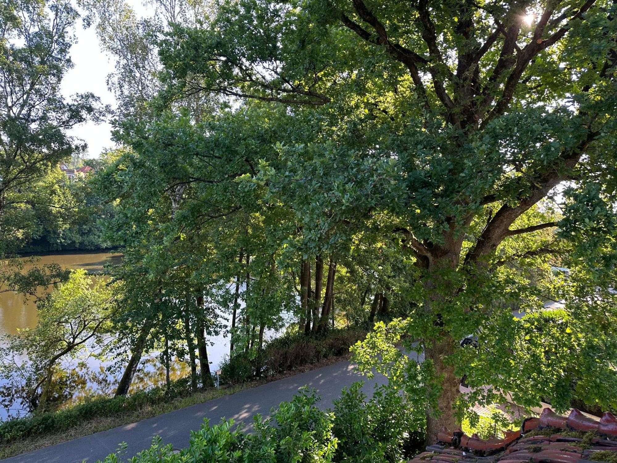 Villa Am See Bad Sachsa Bagian luar foto
